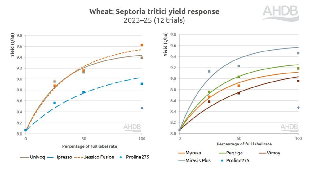 Wheat septoria tritici yield response to fungicides chart 2023–25.